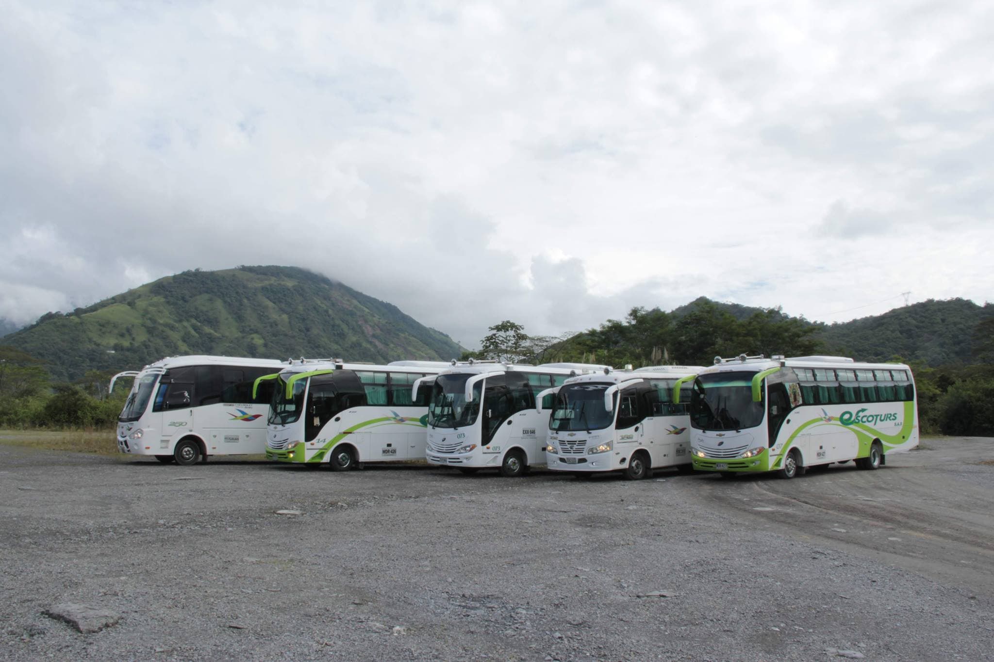 Flota de buses Escoturs